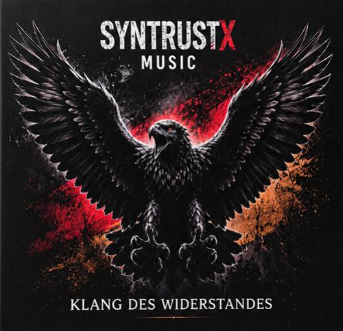 SYNtrustX Leinwandbild